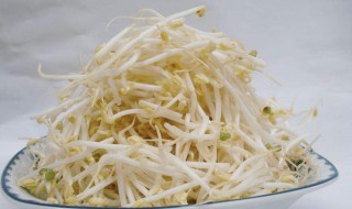 绿豆芽炒拉皮怎么做好吃 快速学会炒绿豆芽