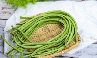 蔬菜豆角的种植方法 豆角的种植方法介绍