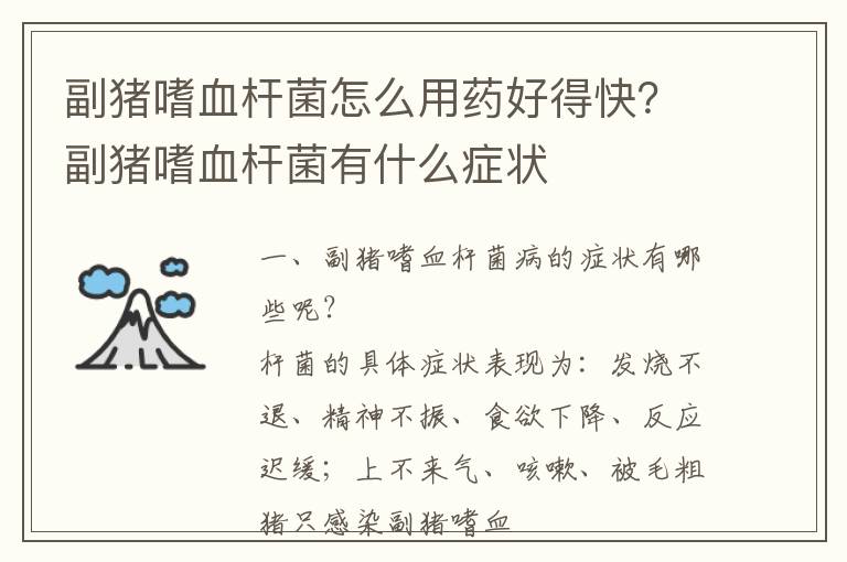副猪嗜血杆菌怎么用药好得快？副猪嗜血杆菌有什么症状