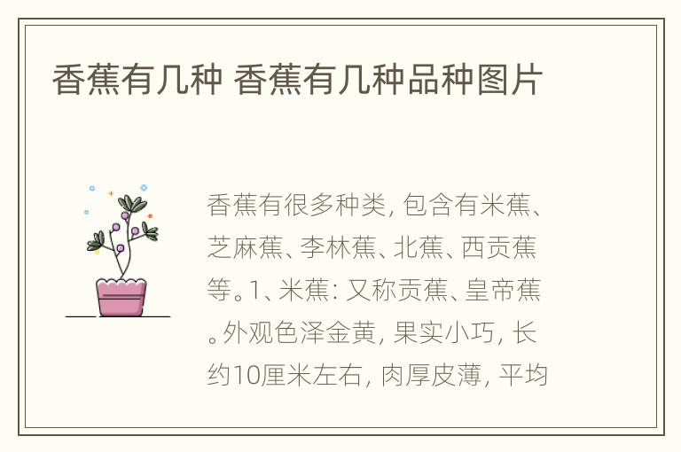 香蕉有几种 香蕉有几种品种图片