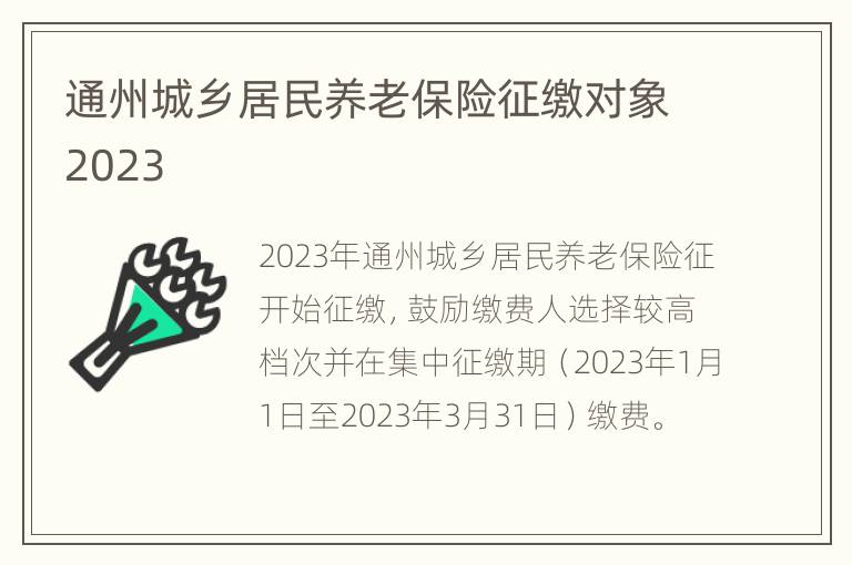 通州城乡居民养老保险征缴对象2023