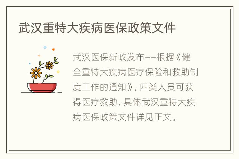 武汉重特大疾病医保政策文件