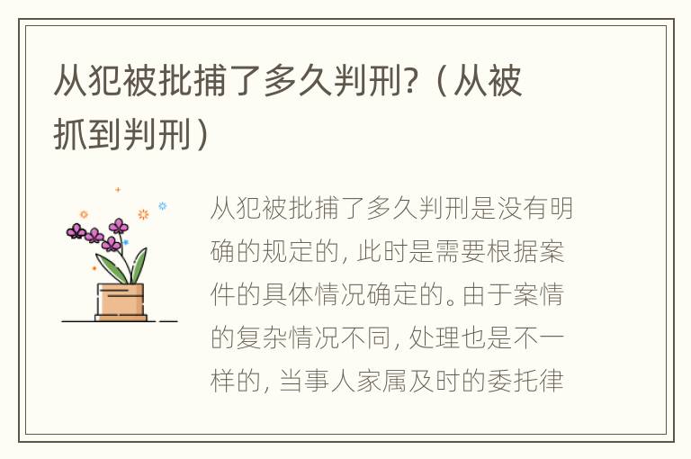 从犯被批捕了多久判刑？（从被抓到判刑）