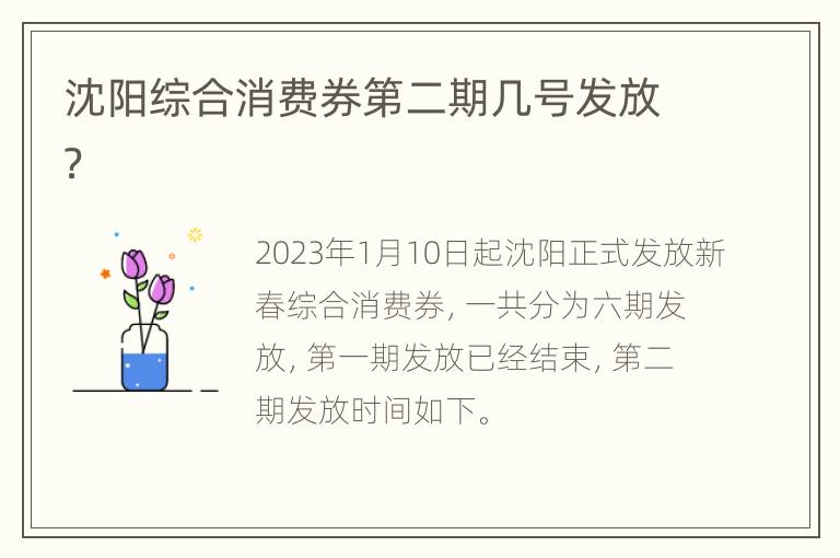 沈阳综合消费券第二期几号发放？