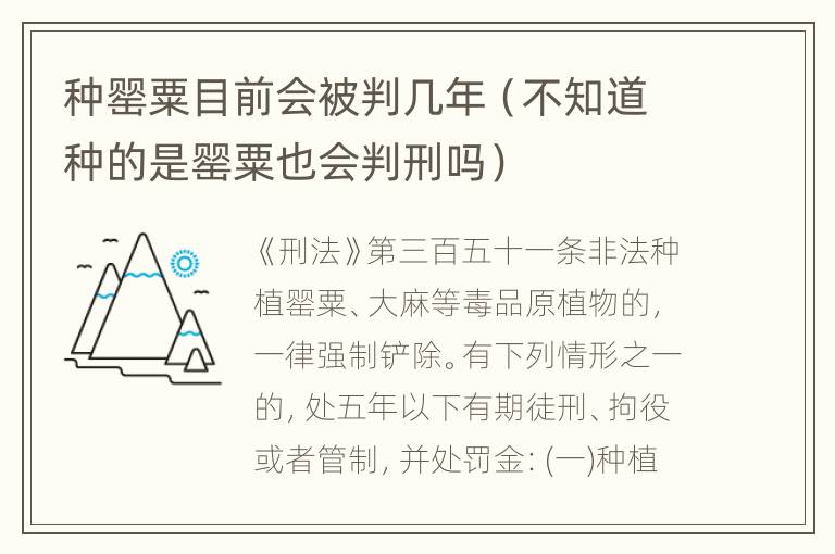 种罂粟目前会被判几年（不知道种的是罂粟也会判刑吗）
