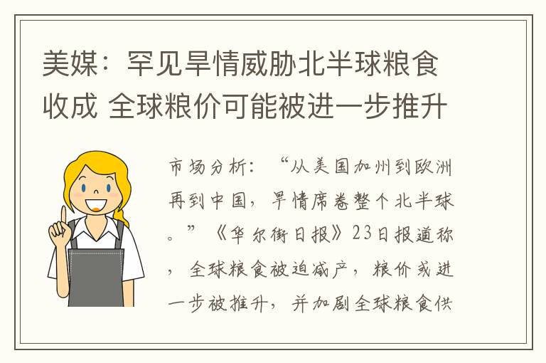 美媒：罕见旱情威胁北半球粮食收成 全球粮价可能被进一步推升