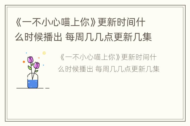《一不小心喵上你》更新时间什么时候播出 每周几几点更新几集