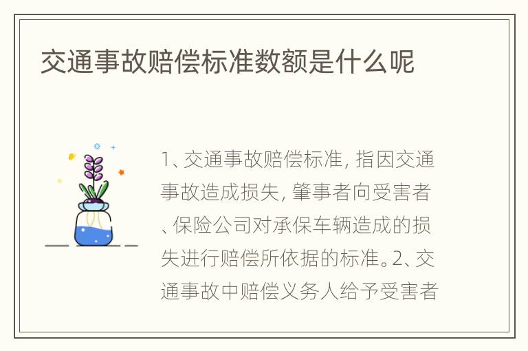 交通事故赔偿标准数额是什么呢