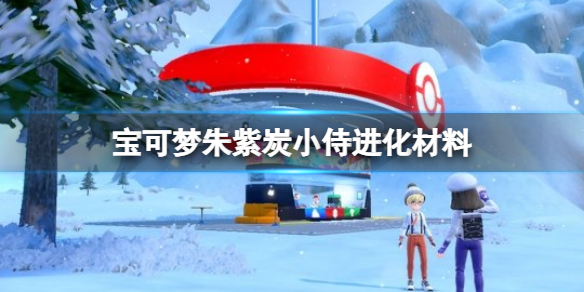 宝可梦朱紫炭小侍进化材料 宝可梦朱紫炭小侍怎么进化