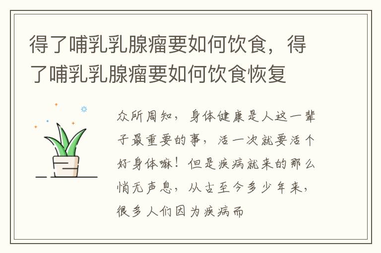 得了哺乳乳腺瘤要如何饮食，得了哺乳乳腺瘤要如何饮食恢复