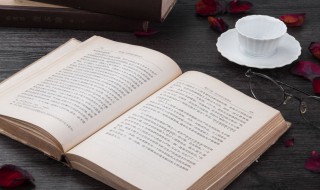 波涛的意思 波涛的解释