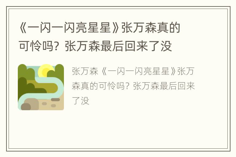 《一闪一闪亮星星》张万森真的可怜吗？ 张万森最后回来了没