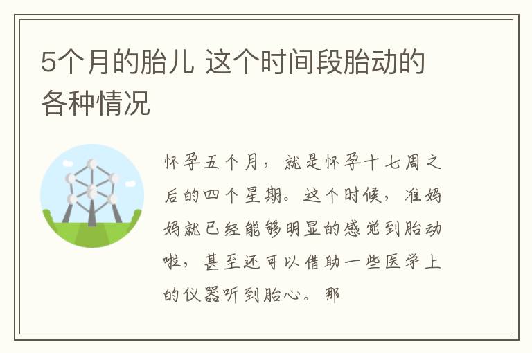 5个月的胎儿 这个时间段胎动的各种情况