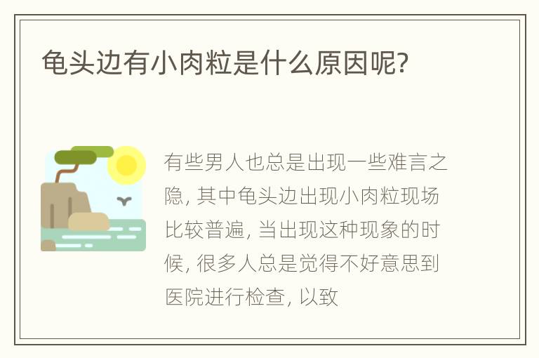 龟头边有小肉粒是什么原因呢？