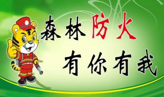 我们应该怎样森林防火 如何做好森林防火
