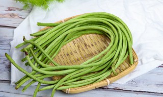 豆角肉泥怎么做 肉泥豆角的做法