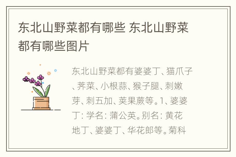 东北山野菜都有哪些 东北山野菜都有哪些图片