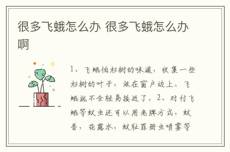 很多飞蛾怎么办 很多飞蛾怎么办啊