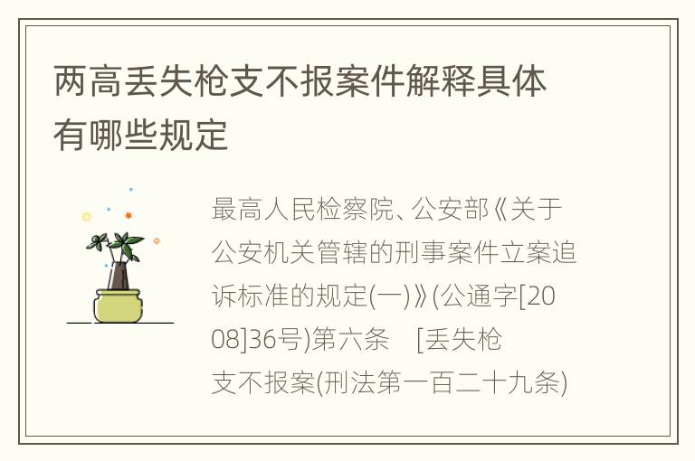 两高丢失枪支不报案件解释具体有哪些规定