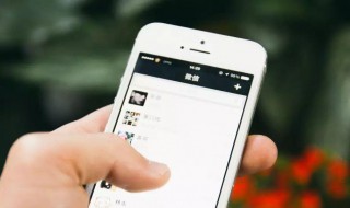 苹果微信分付怎么开通额度 苹果微信分付开通额度的方法