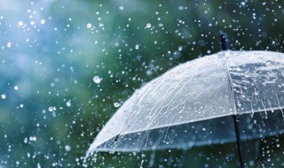 描写雨的唯美句子 描写雨的唯美句子精选