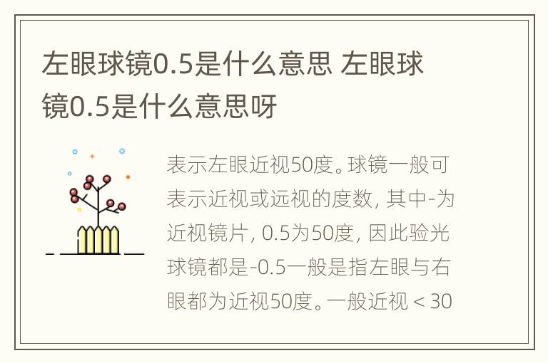 左眼球镜0.5是什么意思 左眼球镜0.5是什么意思呀