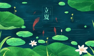 立夏要吃什么 适合立夏吃的食物
