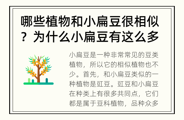 哪些植物和小扁豆很相似？ 为什么小扁豆有这么多相似植物呢？