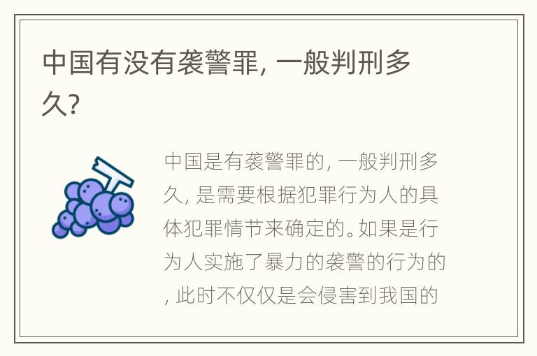 中国有没有袭警罪，一般判刑多久？