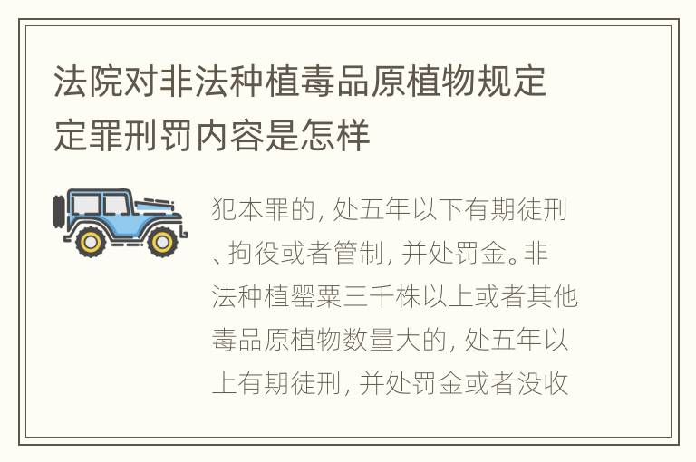 法院对非法种植毒品原植物规定定罪刑罚内容是怎样