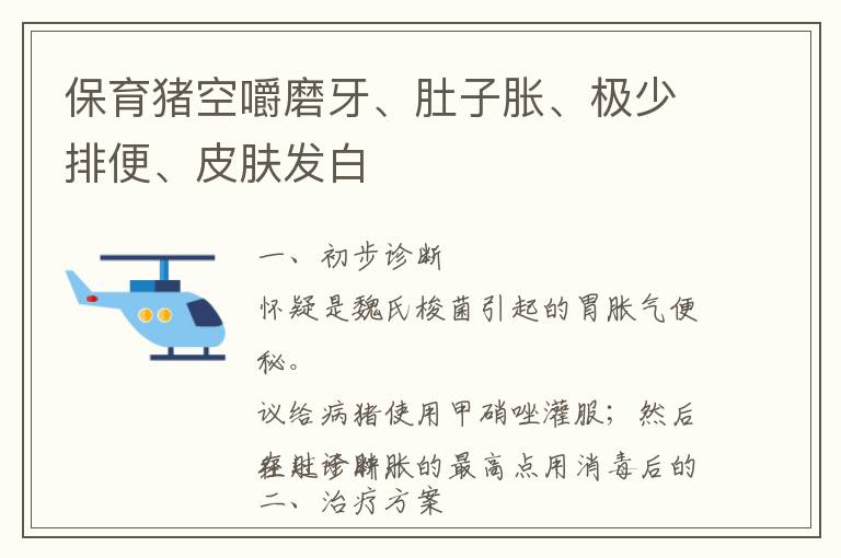 保育猪空嚼磨牙、肚子胀、极少排便、皮肤发白