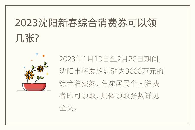 2023沈阳新春综合消费券可以领几张？
