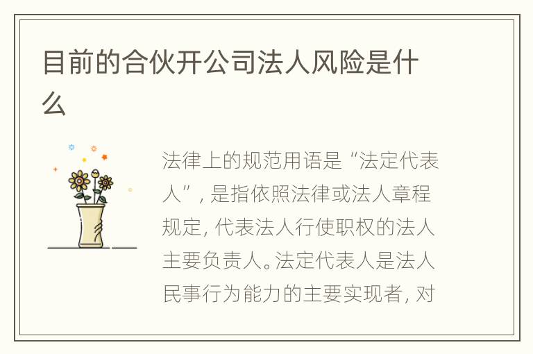 目前的合伙开公司法人风险是什么