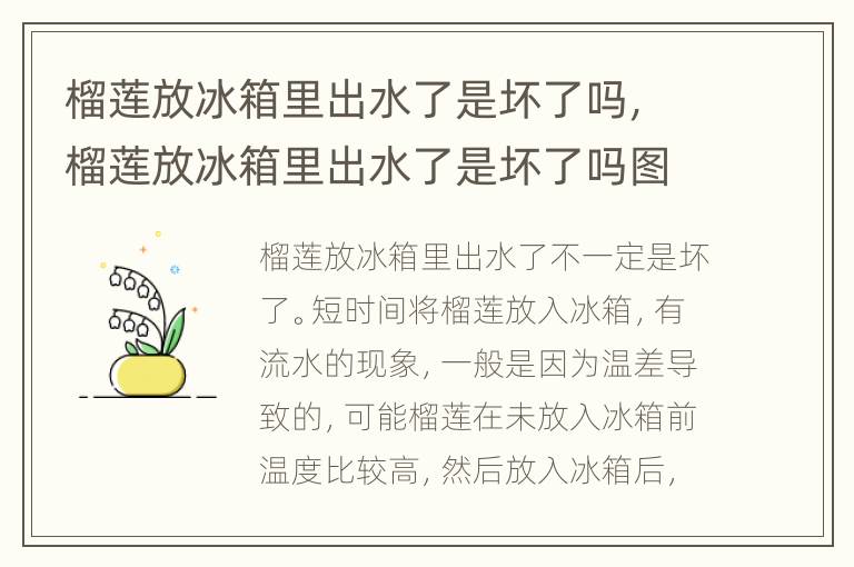 榴莲放冰箱里出水了是坏了吗，榴莲放冰箱里出水了是坏了吗图片