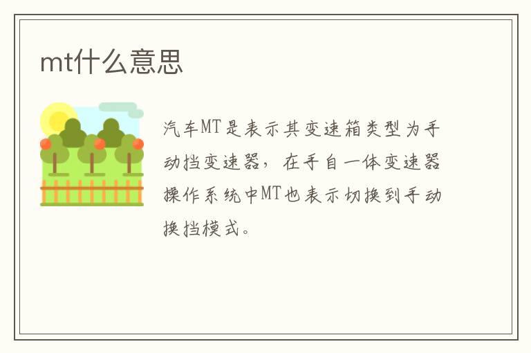 mt什么意思