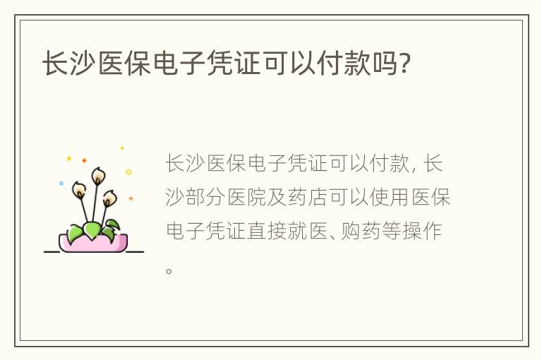 长沙医保电子凭证可以付款吗？