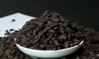 茶化石一次泡多少粒 茶化石泡几粒