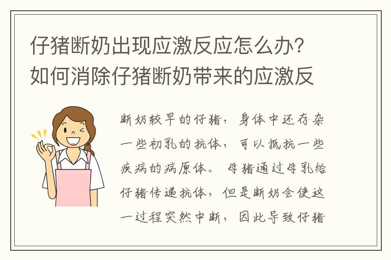 仔猪断奶出现应激反应怎么办？如何消除仔猪断奶带来的应激反应