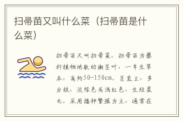扫帚苗又叫什么菜（扫帚苗是什么菜）