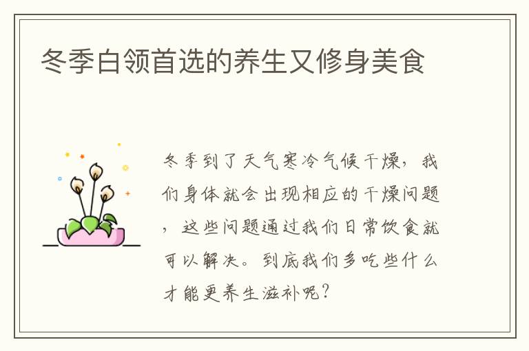 冬季白领首选的养生又修身美食