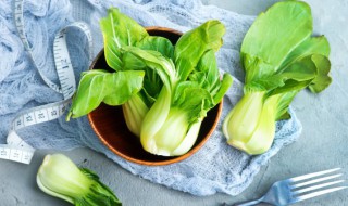 一年四季种菜时间表 一年四季种菜时间表详细介绍