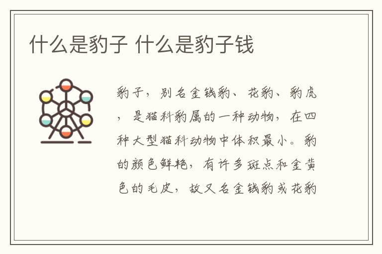 什么是豹子 什么是豹子钱