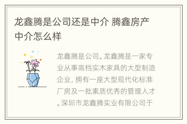 龙鑫腾是公司还是中介 腾鑫房产中介怎么样