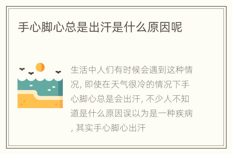 手心脚心总是出汗是什么原因呢