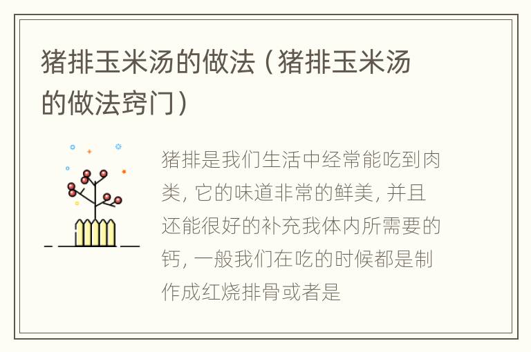 猪排玉米汤的做法（猪排玉米汤的做法窍门）