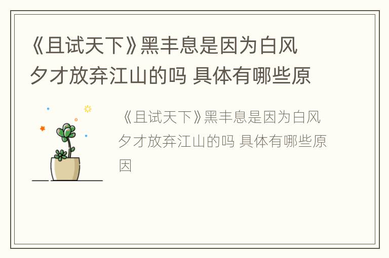 《且试天下》黑丰息是因为白风夕才放弃江山的吗 具体有哪些原因