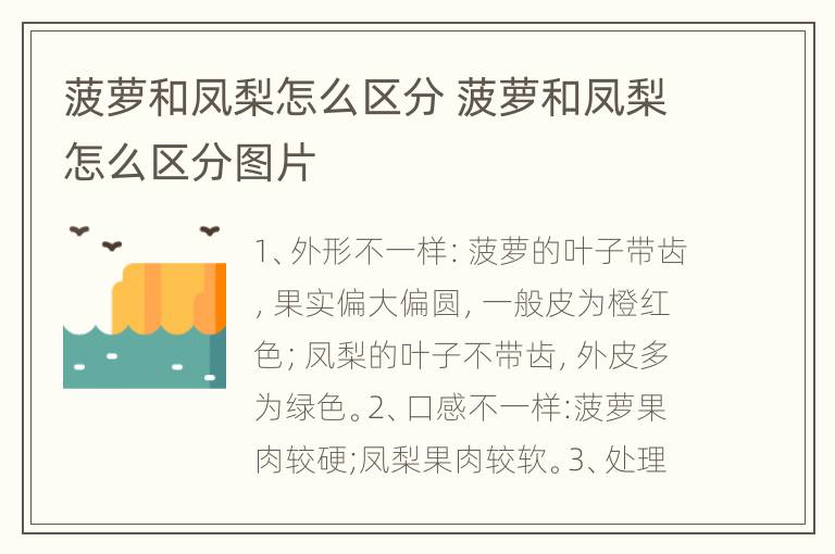 菠萝和凤梨怎么区分 菠萝和凤梨怎么区分图片