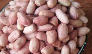 生花生米冷藏还是冷冻 生花生米冷藏吗