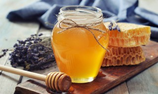 泡蜂巢酒的正确方法 蜂巢泡酒的功效与作用