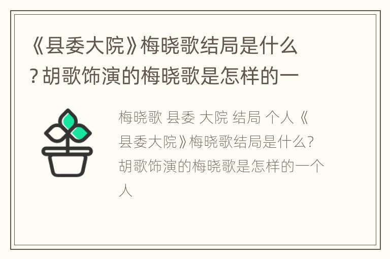 《县委大院》梅晓歌结局是什么？胡歌饰演的梅晓歌是怎样的一个人